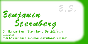 benjamin sternberg business card